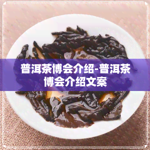 普洱茶博会介绍-普洱茶博会介绍文案