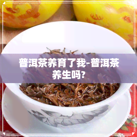 普洱茶养育了我-普洱茶养生吗?