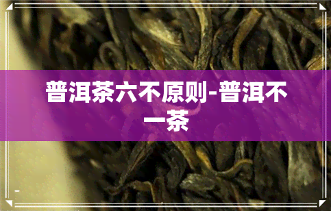 普洱茶六不原则-普洱不一茶