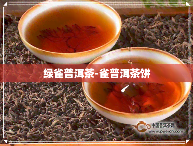 绿雀普洱茶-雀普洱茶饼