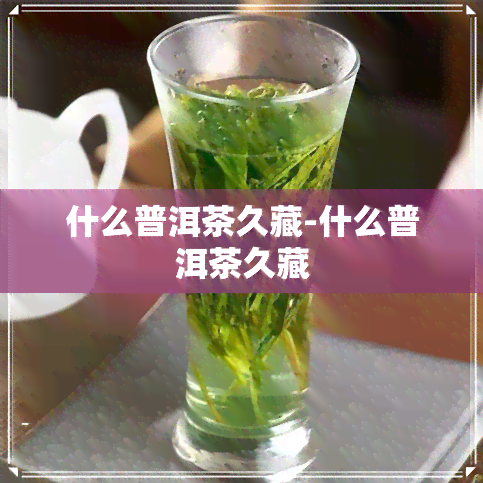 什么普洱茶久藏-什么普洱茶久藏