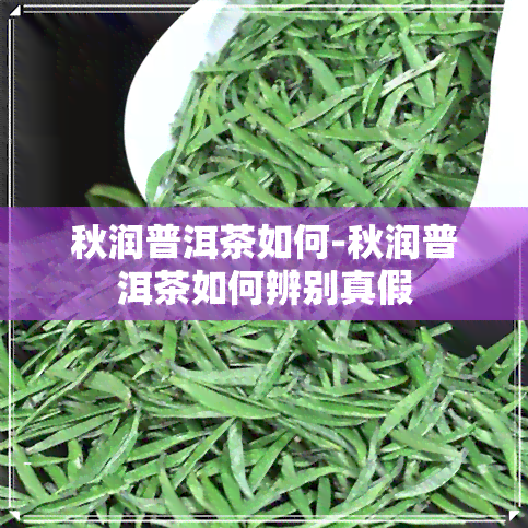 秋润普洱茶如何-秋润普洱茶如何辨别真假