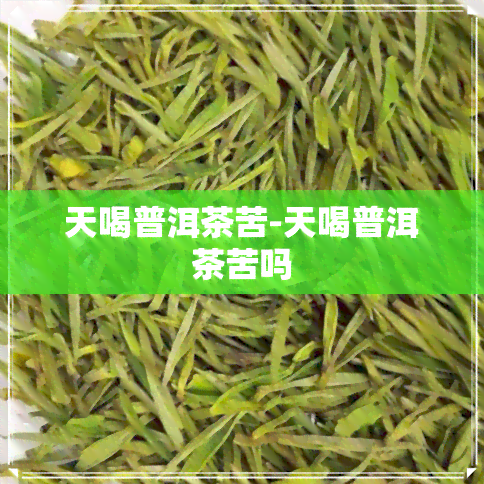 天喝普洱茶苦-天喝普洱茶苦吗