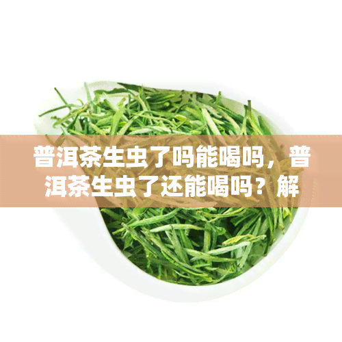 普洱茶生虫了吗能喝吗，普洱茶生虫了还能喝吗？解析茶叶虫害的影响与处理方法