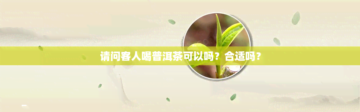 请问客人喝普洱茶可以吗？合适吗？