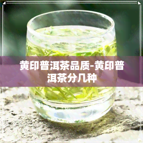 黄印普洱茶品质-黄印普洱茶分几种