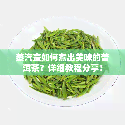 蒸汽壶如何煮出美味的普洱茶？详细教程分享！