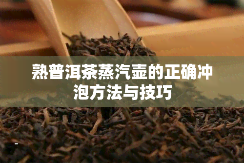 熟普洱茶蒸汽壶的正确冲泡方法与技巧