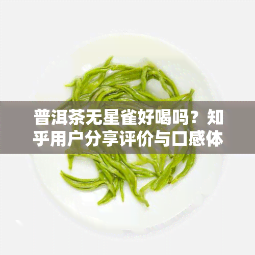 普洱茶无星雀好喝吗？知乎用户分享评价与口感体验