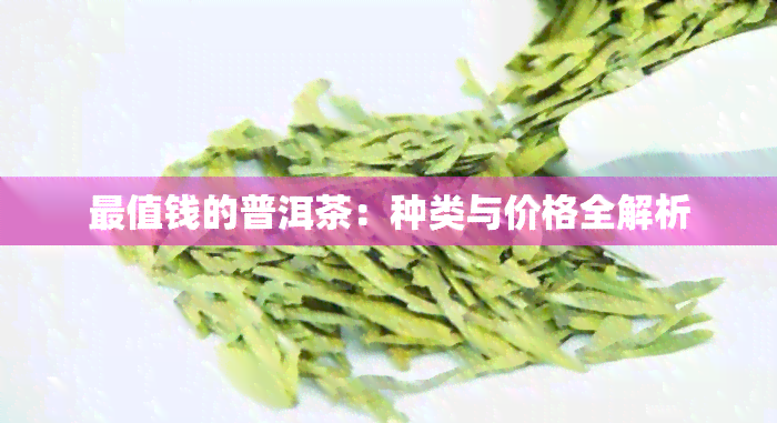 最值钱的普洱茶：种类与价格全解析