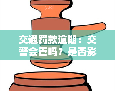 交通罚款逾期：交警会管吗？是否影响？如何缴纳？