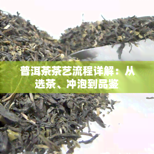 普洱茶茶艺流程详解：从选茶、冲泡到品鉴