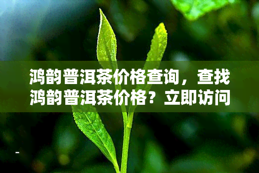 鸿韵普洱茶价格查询，查找鸿韵普洱茶价格？立即访问我们的在线商店！