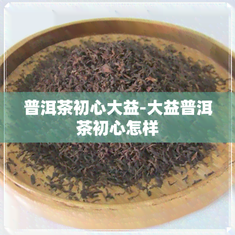 普洱茶初心大益-大益普洱茶初心怎样