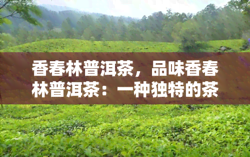 香春林普洱茶，品味香春林普洱茶：一种独特的茶叶体验