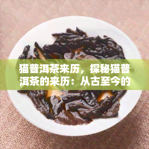 猫普洱茶来历，探秘猫普洱茶的来历：从古至今的历传承与文化价值