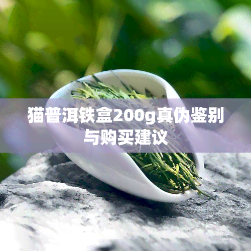 猫普洱铁盒200g真伪鉴别与购买建议