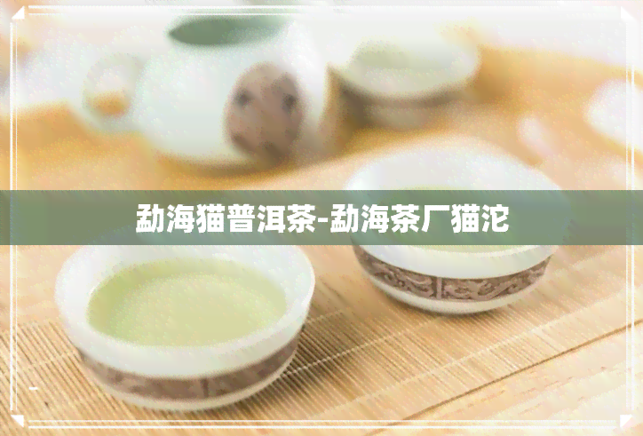 勐海猫普洱茶-勐海茶厂猫沱