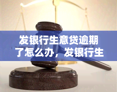 发银行生意贷逾期了怎么办，发银行生意贷逾期处理方法解析