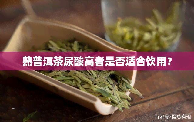 熟普洱茶尿酸高者是否适合饮用？