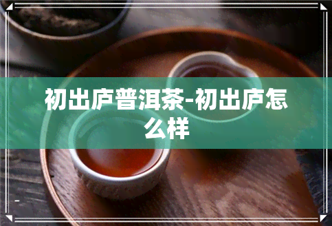 初出庐普洱茶-初出庐怎么样