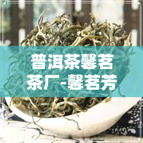 普洱茶馨茗茶厂-馨茗芳普洱茶多少钱