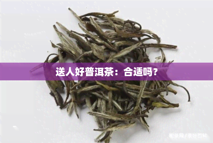 送人好普洱茶：合适吗？