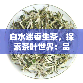 白水迷香生茶，探索茶叶世界：品味白水迷香生茶的独特魅力