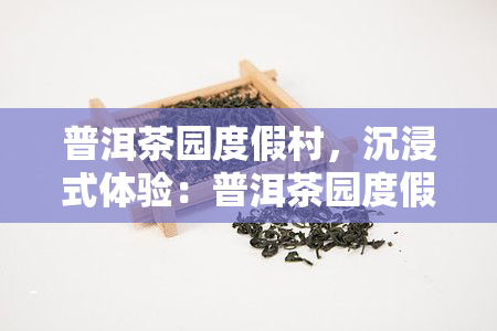 普洱茶园度假村，沉浸式体验：普洱茶园度假村，享受静与自然的美好