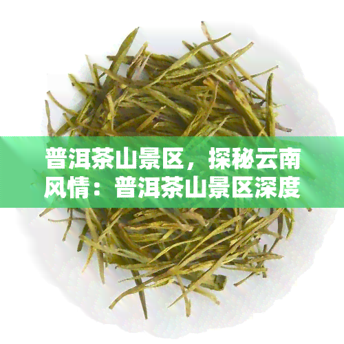 普洱茶山景区，探秘云南风情：普洱茶山景区深度游攻略