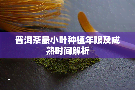 普洱茶最小叶种植年限及成熟时间解析