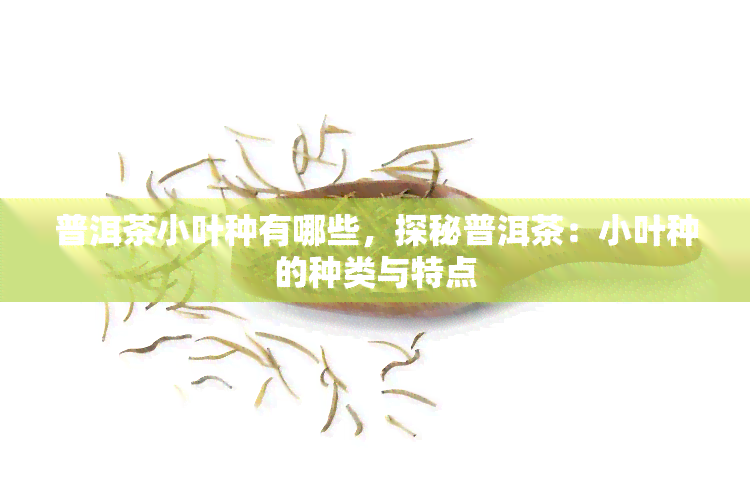 普洱茶小叶种有哪些，探秘普洱茶：小叶种的种类与特点