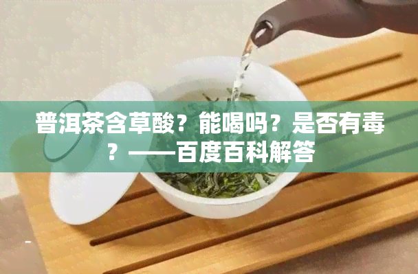 普洱茶含草酸？能喝吗？是否有？——百度百科解答