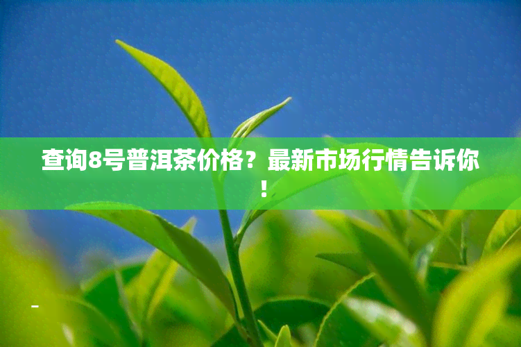 查询8号普洱茶价格？最新市场行情告诉你！