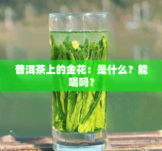 普洱茶上的金花：是什么？能喝吗？