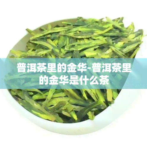 普洱茶里的金华-普洱茶里的金华是什么茶