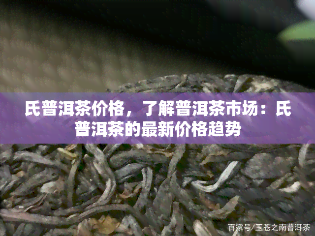 氏普洱茶价格，了解普洱茶市场：氏普洱茶的最新价格趋势