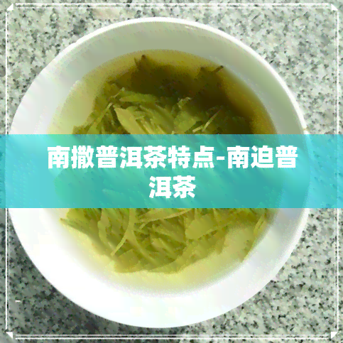 南撒普洱茶特点-南迫普洱茶