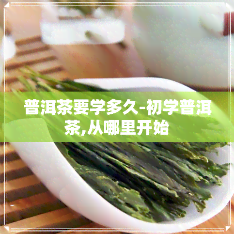 普洱茶要学多久-初学普洱茶,从哪里开始