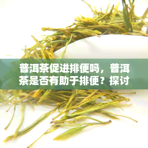 普洱茶促进排便吗，普洱茶是否有助于排便？探讨其功效与作用