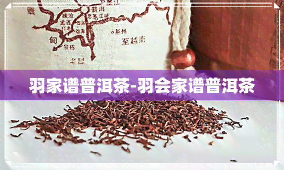 羽家谱普洱茶-羽会家谱普洱茶