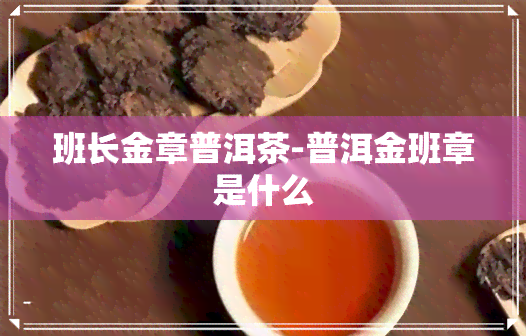 班长金章普洱茶-普洱金班章是什么