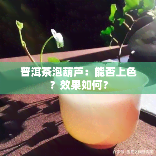 普洱茶泡葫芦：能否上色？效果如何？