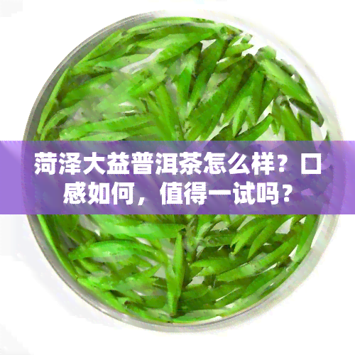 菏泽大益普洱茶怎么样？口感如何，值得一试吗？