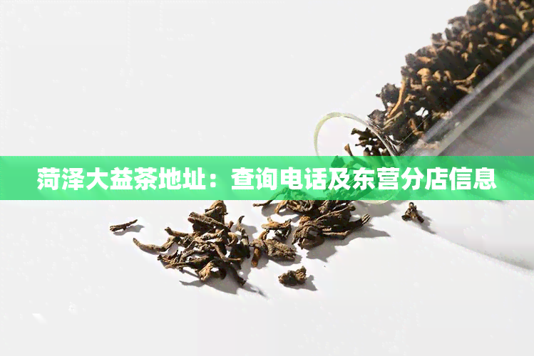 菏泽大益茶地址：查询电话及东营分店信息