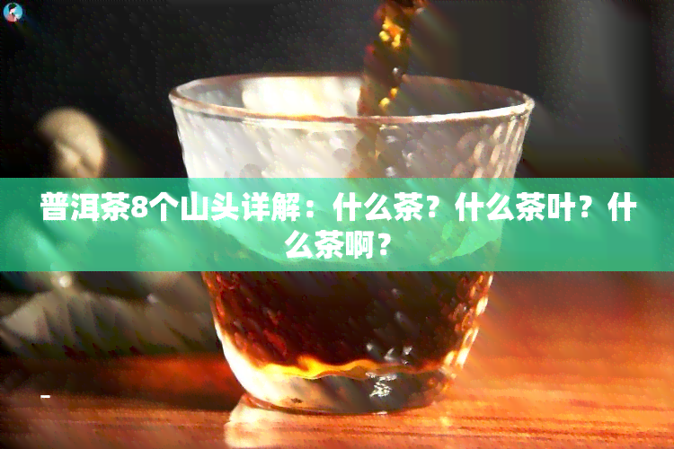 普洱茶8个山头详解：什么茶？什么茶叶？什么茶啊？