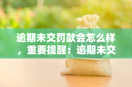 逾期未交罚款会怎么样，重要提醒：逾期未交罚款的后果严重，不可忽视！