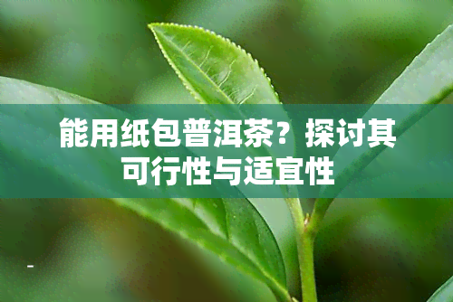 能用纸包普洱茶？探讨其可行性与适宜性