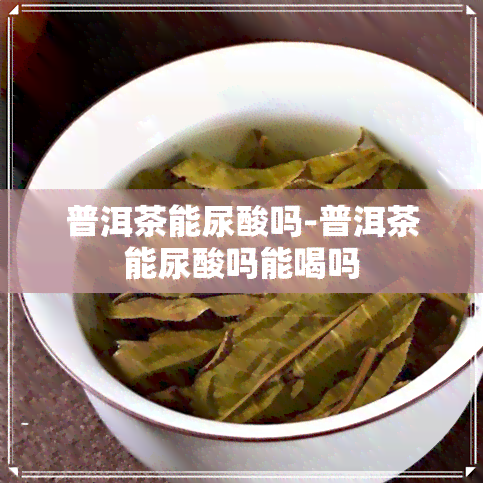 普洱茶能尿酸吗-普洱茶能尿酸吗能喝吗