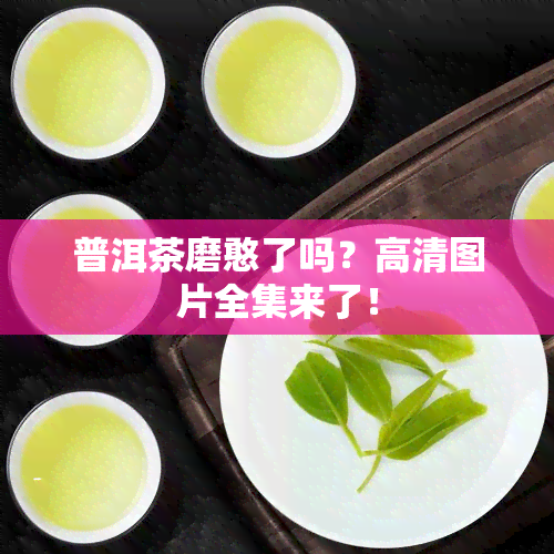 普洱茶磨憨了吗？高清图片全集来了！